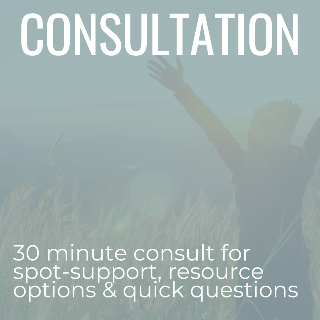 30 minute consultation product image