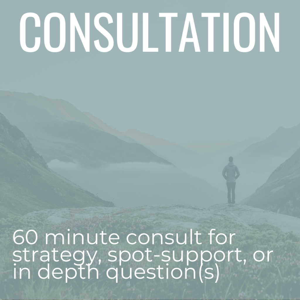 60 minute consult product image