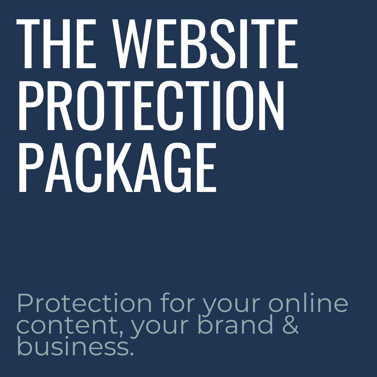 Website Protection Package for online entrepreneurs coaches consultants product image